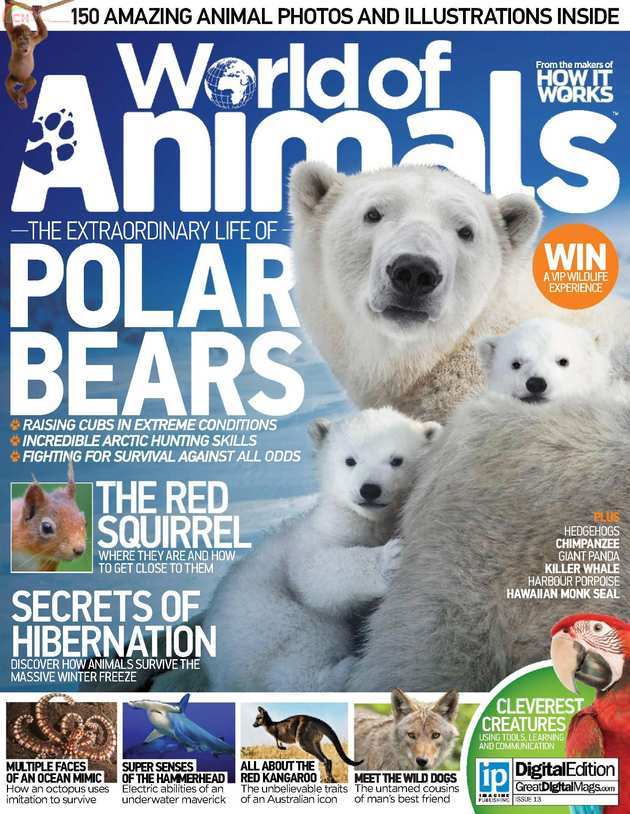 Animals (1).jpg