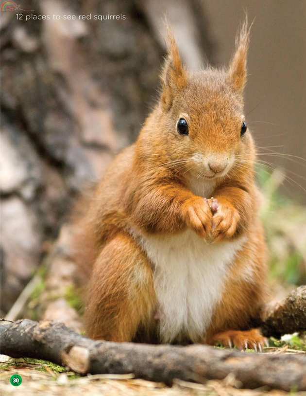 Animals (29).jpg