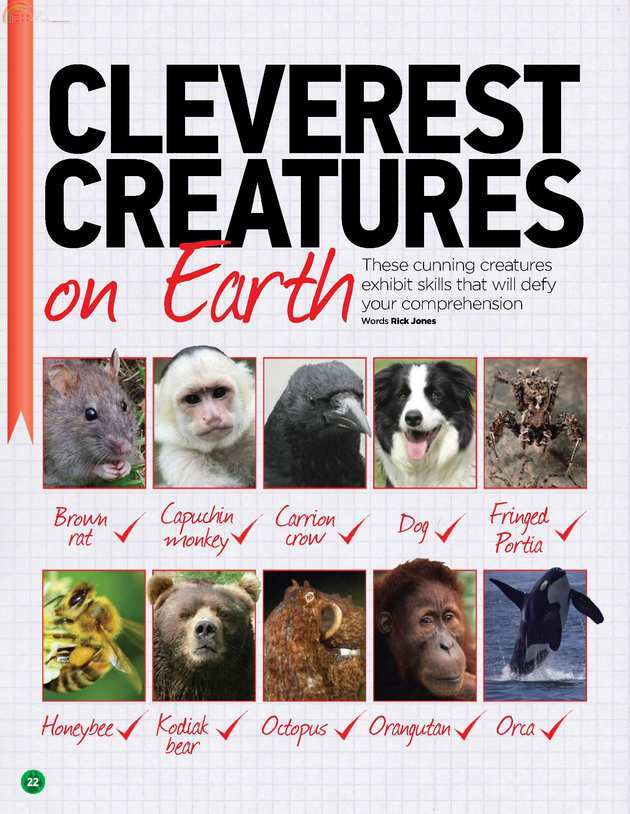 Animals (21).jpg