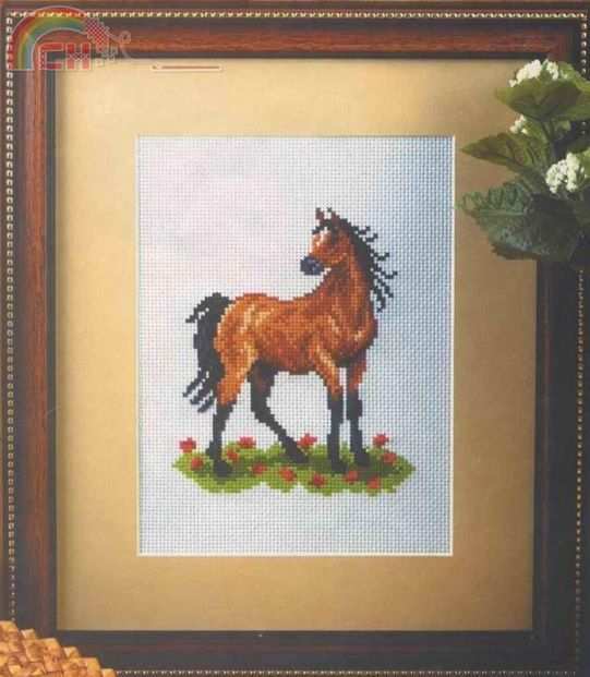 horse.jpg