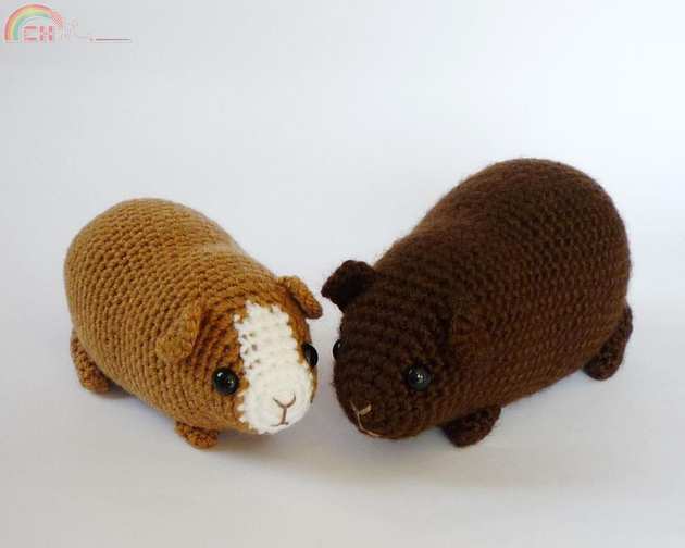 chubby_guinea_pig.jpg
