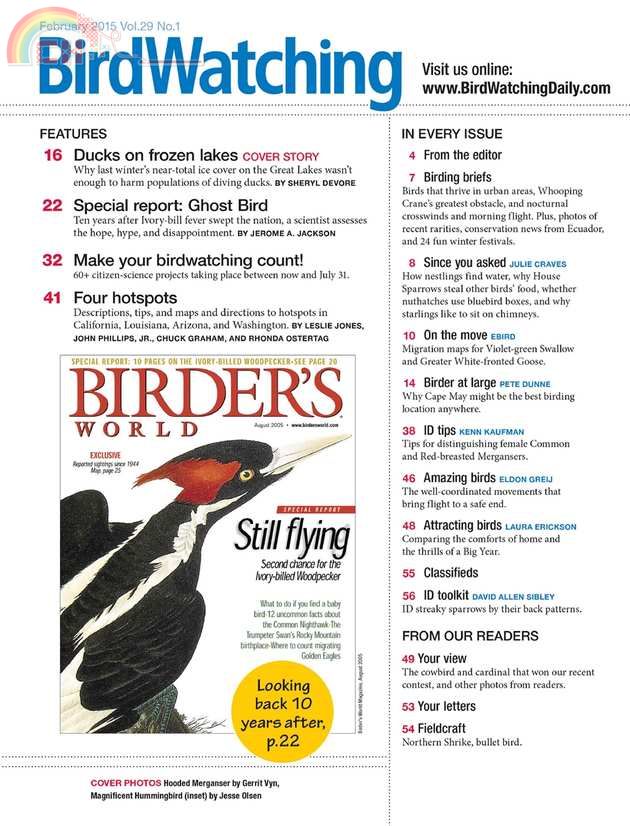 Birdwatching (2).jpg