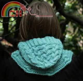 WaW_back_hood_teal_small2.jpg