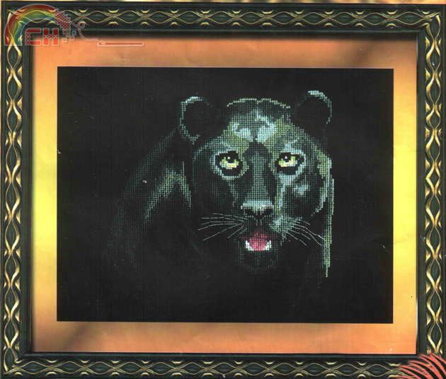 ChMit-247 OK Black Panther.JPG