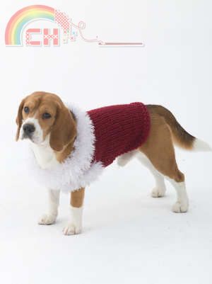 LionBrand Celebrator Dog Sweater