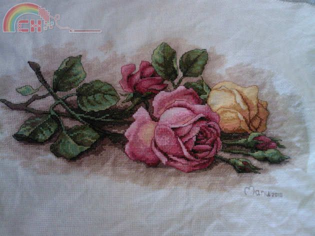 Dimensions Rose Cutting