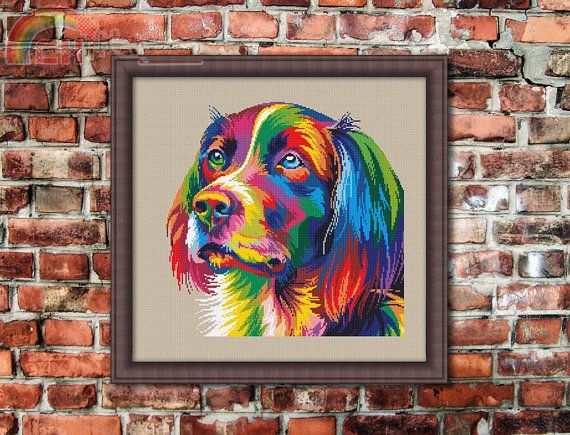 colorful dog