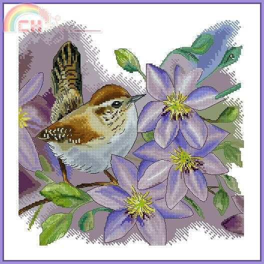 Inna_Peshkova_Clematis.jpg