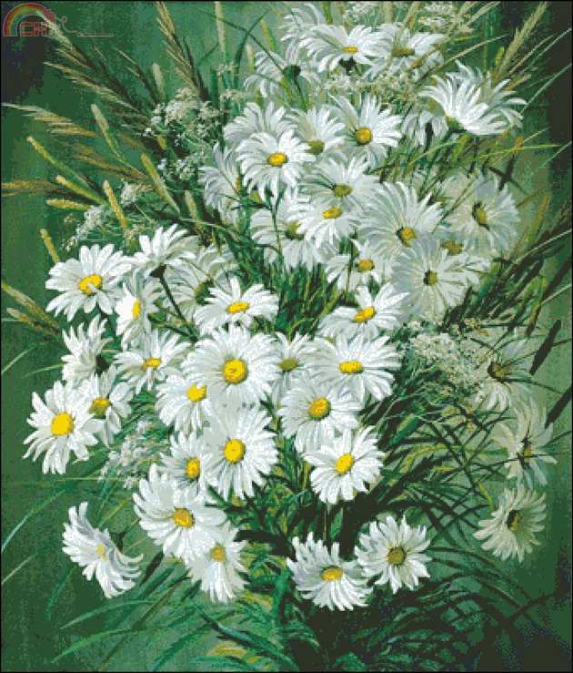 Levron Daisies.jpg