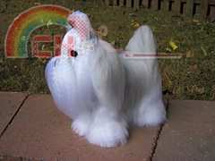 shih_tzu_3-4_lft_small.jpg