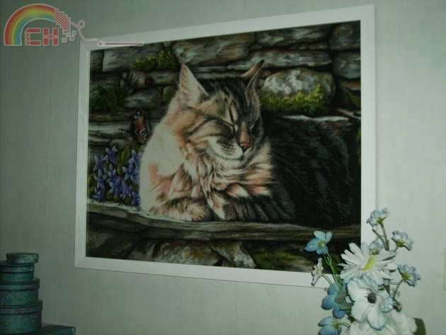 23a.Poes van rechts.JPG