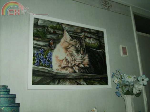 23b..Poes van links.JPG