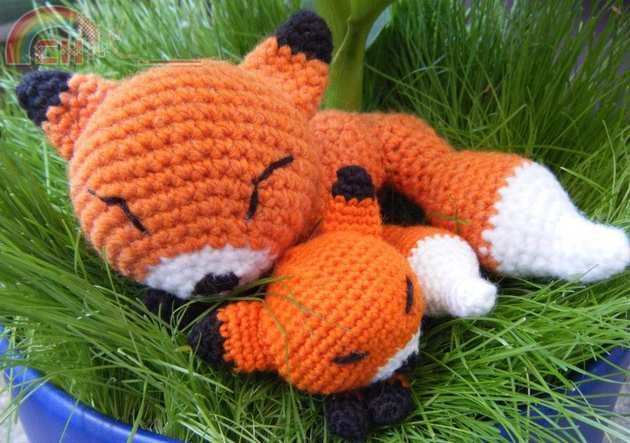 fox.jpg.JPG