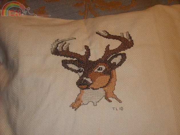 deer