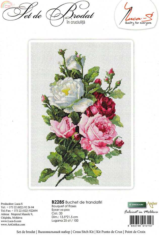 cover image.jpg