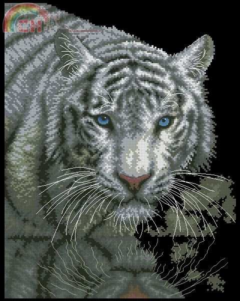 70-35289 - Into the Light.jpg