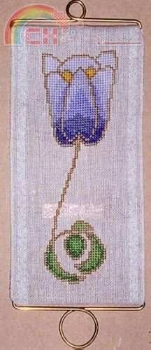 Tulip AN