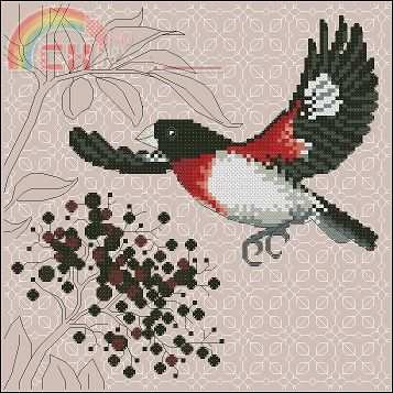 Ajisai Designs  Rosk-breasted Grosbeak and Elderberry.jpg