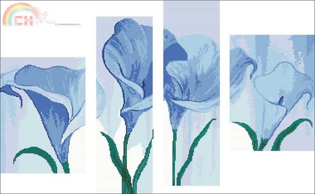 BLUE CALLA.jpg