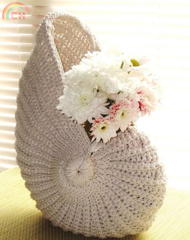 Nautilus Shell .jpg