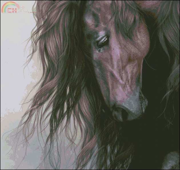HAELAP 102 Equus.jpg