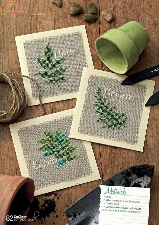 Fern mini.jpg