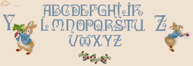 YZ   ABC.jpg
