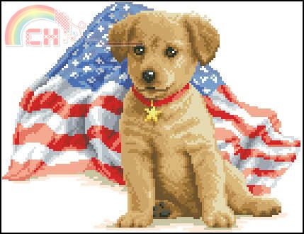 Vervaco 31.511 USA dog.jpg
