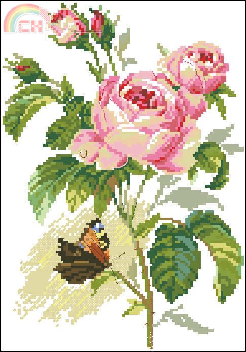 ALisa 2-13 Rose and butterfly.jpg