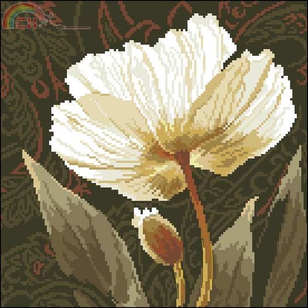 Alisa 2-17 White Flowers-Sunlit.jpg