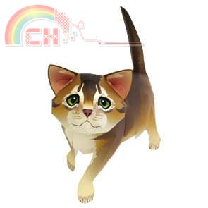 abyssinian_thl.jpg