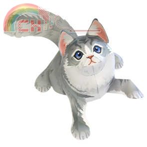 maine-coon_thl.jpg