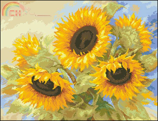 Alisa 2-30 Sunny dreams.jpg