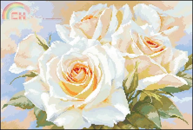 Alisa 2-32 White roses.jpg