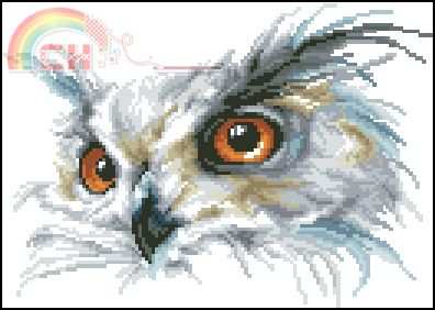 Vervaco 30.880 - 70.146 Owl.jpg