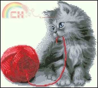 Alisena 1163 cat.jpg