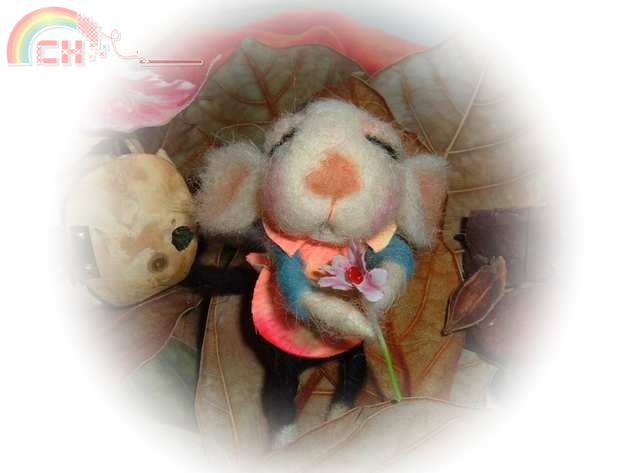 cin-cin 001 (1).jpg