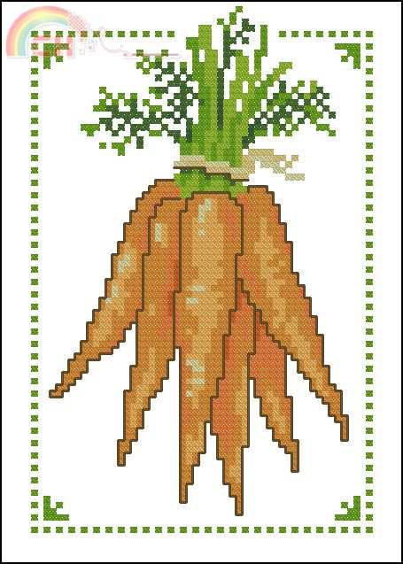 Vervaco 70.881 carottes.jpg