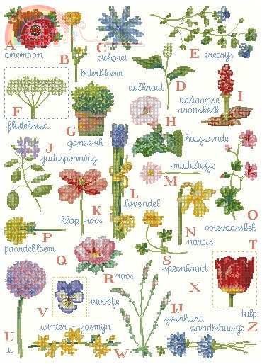 BLOOMING ALPHABET.jpg
