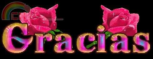 GRACIAS2028ROSAS291[1].JPG