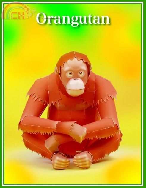 Orangutan.jpg