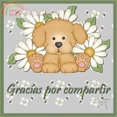graciasporcompartir78.jpg