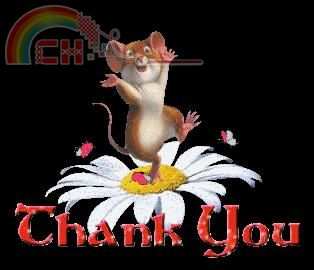 ThankYou-JUMPIN13-vi.JPG