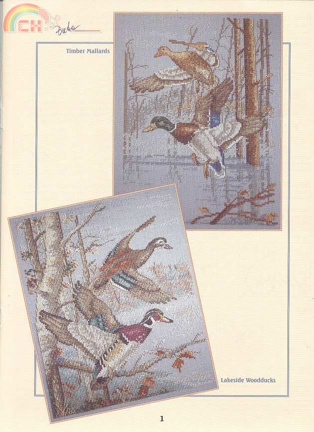 LA 3341 - Southward Bound (1).jpg