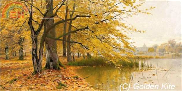 2052. Autumnal Woods.jpg