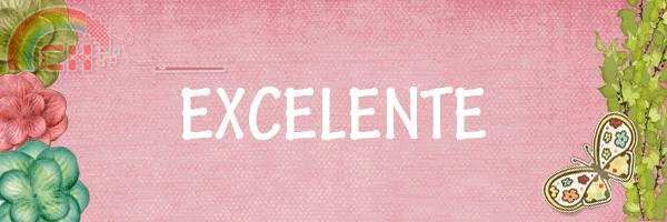 EXCELENTE1.JPG