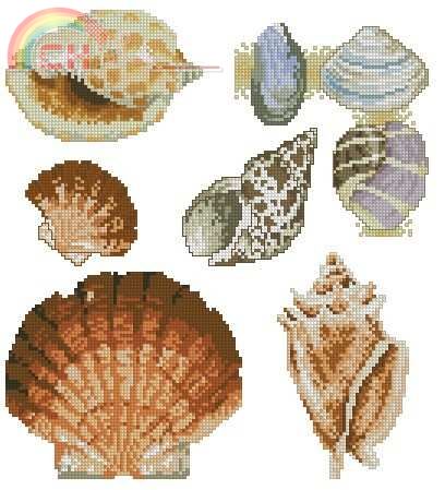 Le idee di Susanna 270 Shells I.jpg
