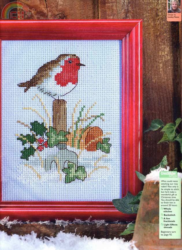 CrossStitcher (20).jpg