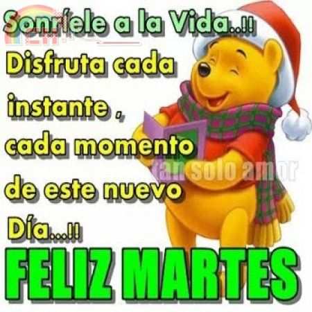 martes2.jpg