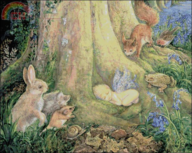 Woodland_Wonder.jpg